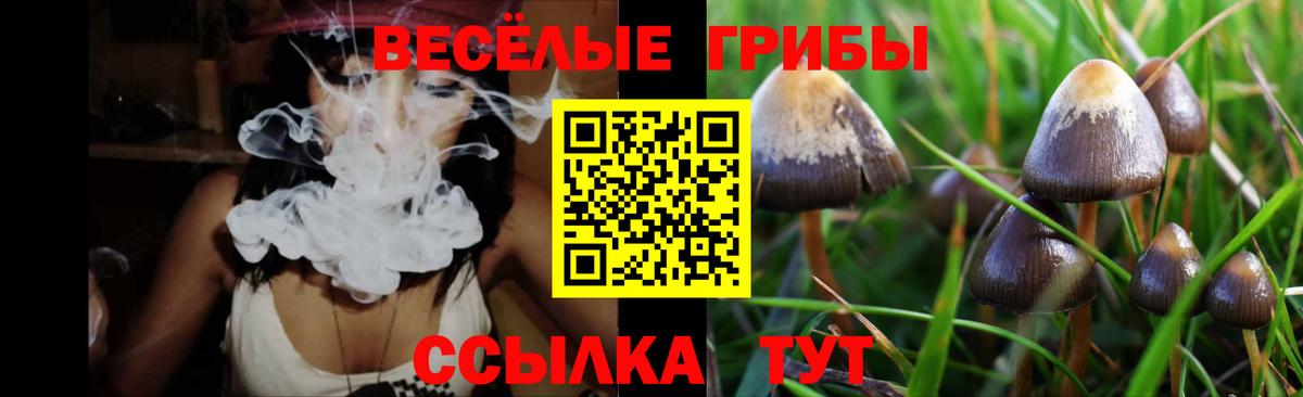Галлюциногенные грибы Cubensis Минеральные Воды